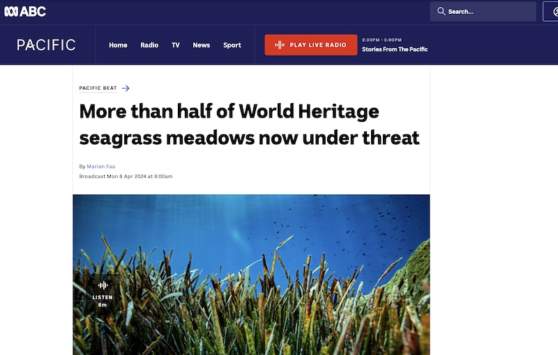 More than half of World Heritage seagrass meadows now under threat