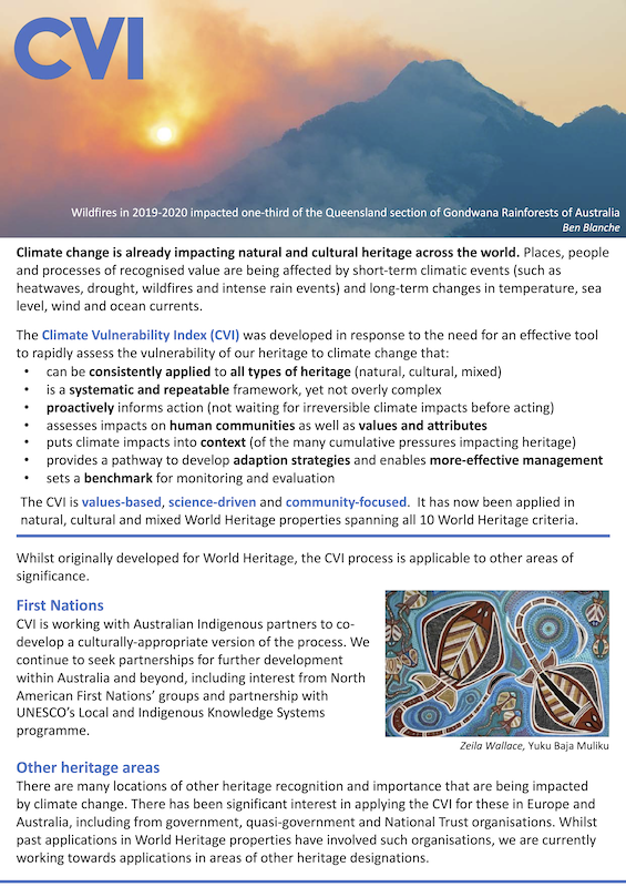 CVI Summary 2025